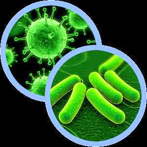 bacteria-and-viruses