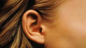 Fungsi Koklea pada Telinga
