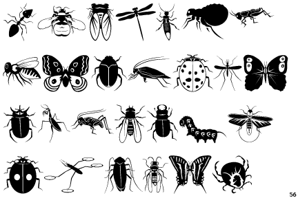 Klasifikasi insecta