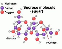 Perbedaan antara Sukrosa dan Fruktosa