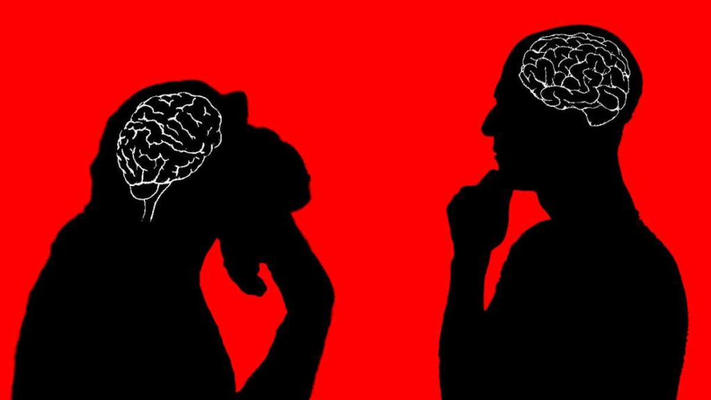 Perbedaan Otak Manusia dan Otak Hewan